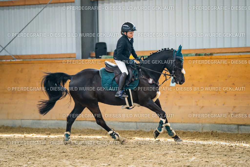 DSC01645 | Pferdegrafie