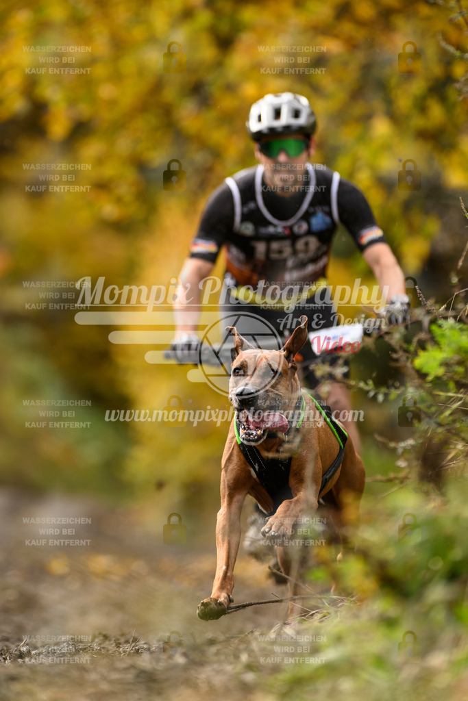 MompixPhotography_ICF_WC_2024_SA_Bike_-203 | PayLife