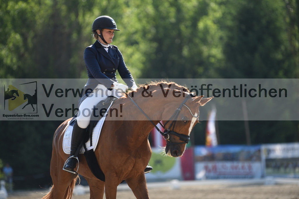DSC_2400 | equestrian-live-com