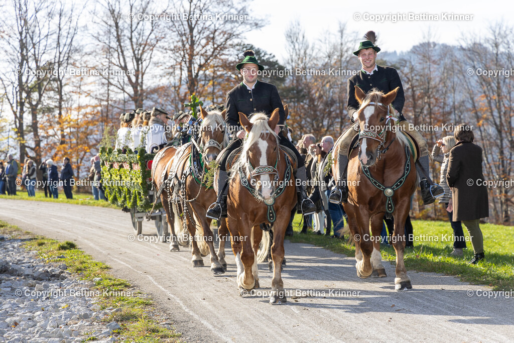 LBT24-1240 | foto-bettina-krinner - Realisiert mit Pictrs.com