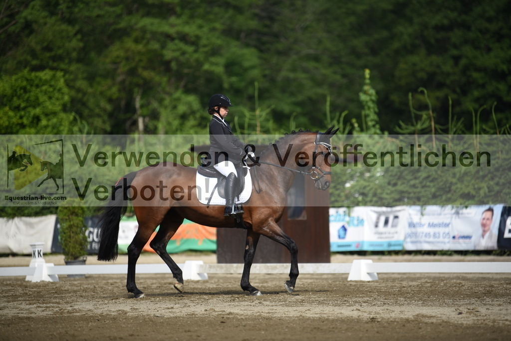 DSC_7627 | equestrian-live-com