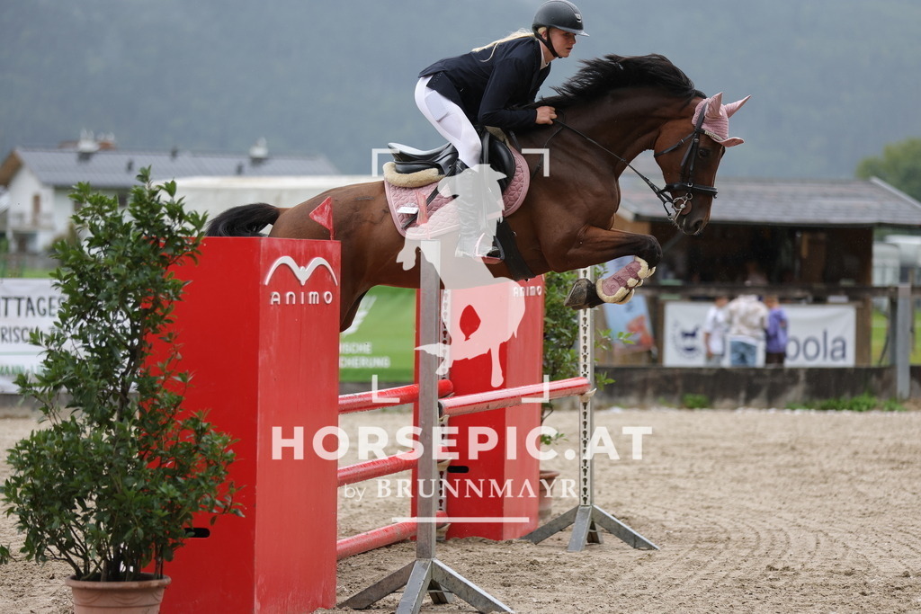 0P6A1823 | Willkommen bei Brunnmayr - Design & Fotografie – Ihrem Spezialisten für Reitturniere und Pferdeveranstaltungen in Oberösterreich, Salzburg und Bayern! Seit über 17 Jahren sind wir leidenschaftlich dabei.