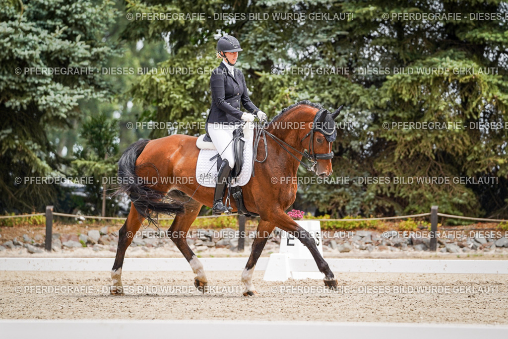 DSC04152 | Pferdegrafie