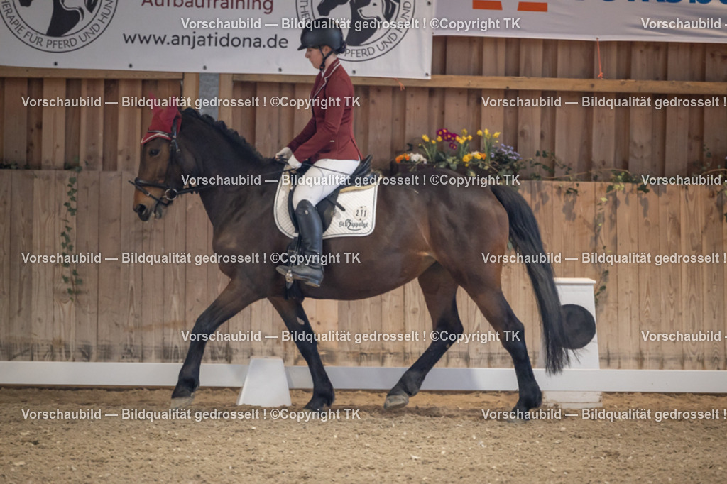 _D5A2142 | Emotionale Pferde- & People-Fotografie rund um Heidelberg, Leimen & Umgebung. Natürliche Fotos von Pferd, Mensch & Familie. Jetzt Termin sichern!