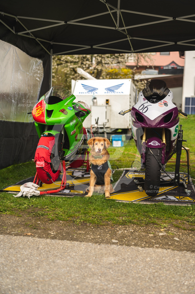 0195 - Bergrennen Landshaag2026 | BREITBILD Austria Webshop

Finde Fotos von: Breitbild, Breitbild Austria, Landshaag, Europeanbikers, KTM, BMW, Bergrennen, Bikeporn, Carporn, Bikes, Cars, Fotografie, Oberösterreich, Österreich, Berufsfotograf, Motorradteile Ganster, Julbach, Pannoniari - Realisiert mit Pictrs.com