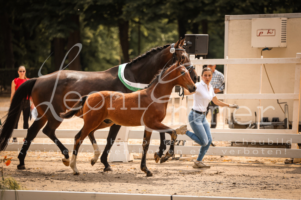 SaPA00023 | Leoni Ertmer Photography - Realisiert mit Pictrs.com