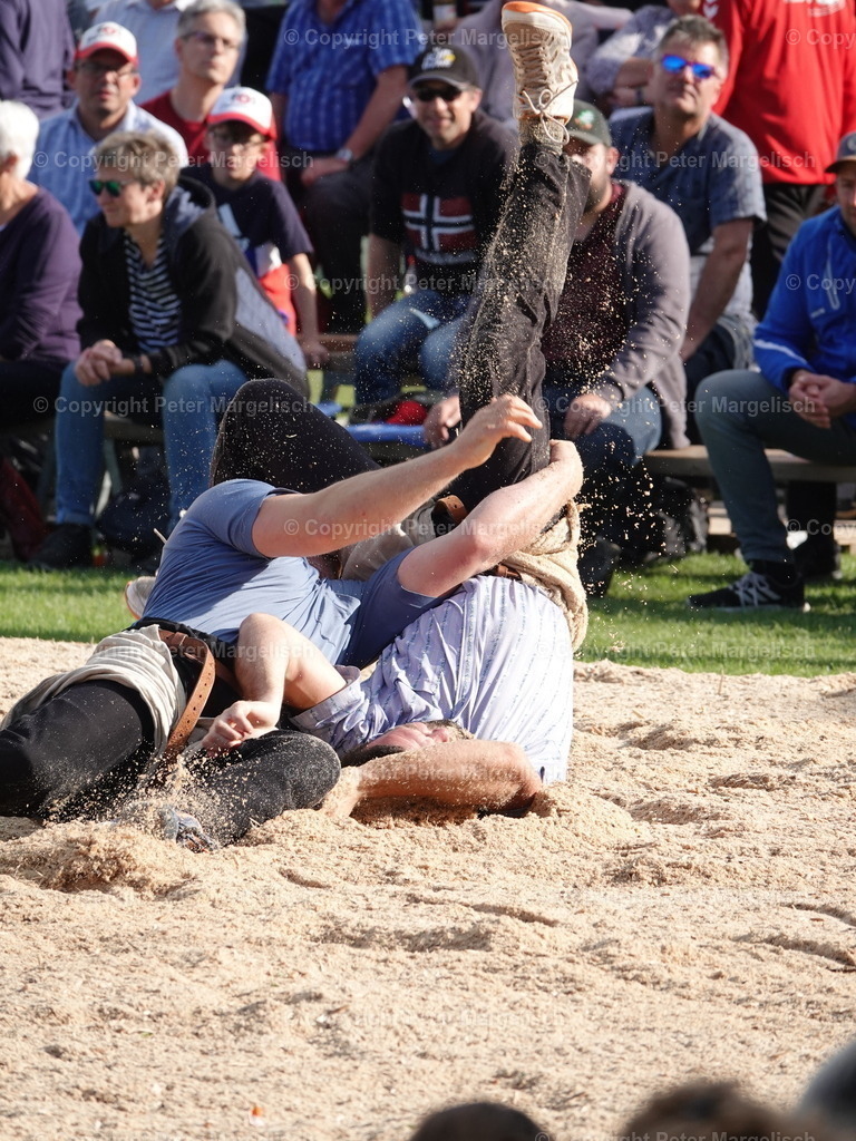 DSC05626 | Schwingen - Realisiert mit Pictrs.com