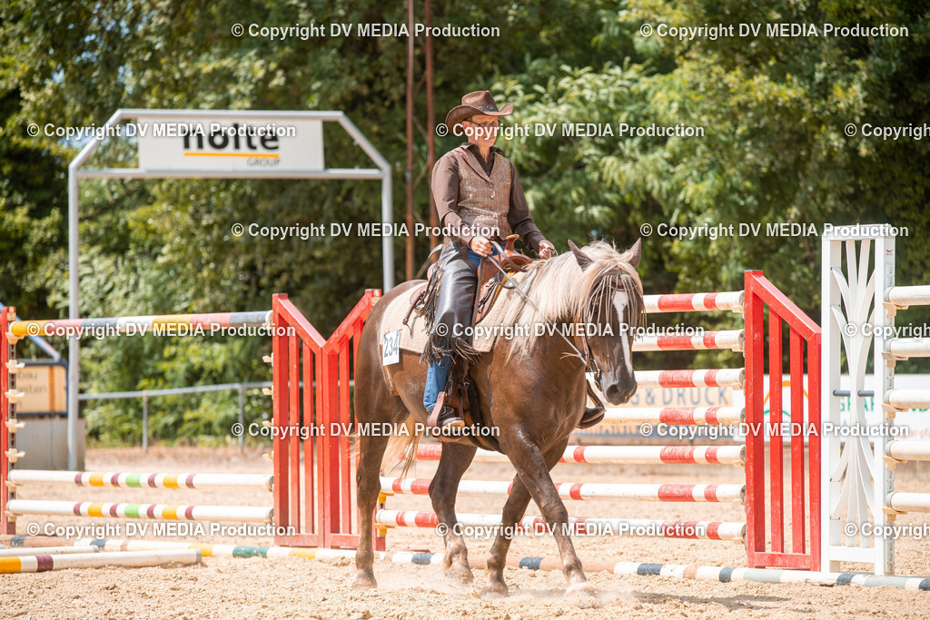 EWP_6503 | dv-media-shop - Realisiert mit Pictrs.com