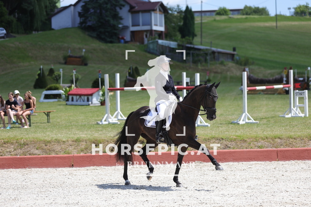 0P6A1219 | Willkommen bei Brunnmayr - Design & Fotografie – Ihrem Spezialisten für Reitturniere und Pferdeveranstaltungen in Oberösterreich, Salzburg und Bayern! Seit über 17 Jahren sind wir leidenschaftlich dabei.