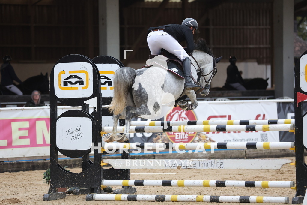 0P6A5805 | Willkommen bei Brunnmayr - Design & Fotografie – Ihrem Spezialisten für Reitturniere und Pferdeveranstaltungen in Oberösterreich, Salzburg und Bayern! Seit über 17 Jahren sind wir leidenschaftlich dabei.