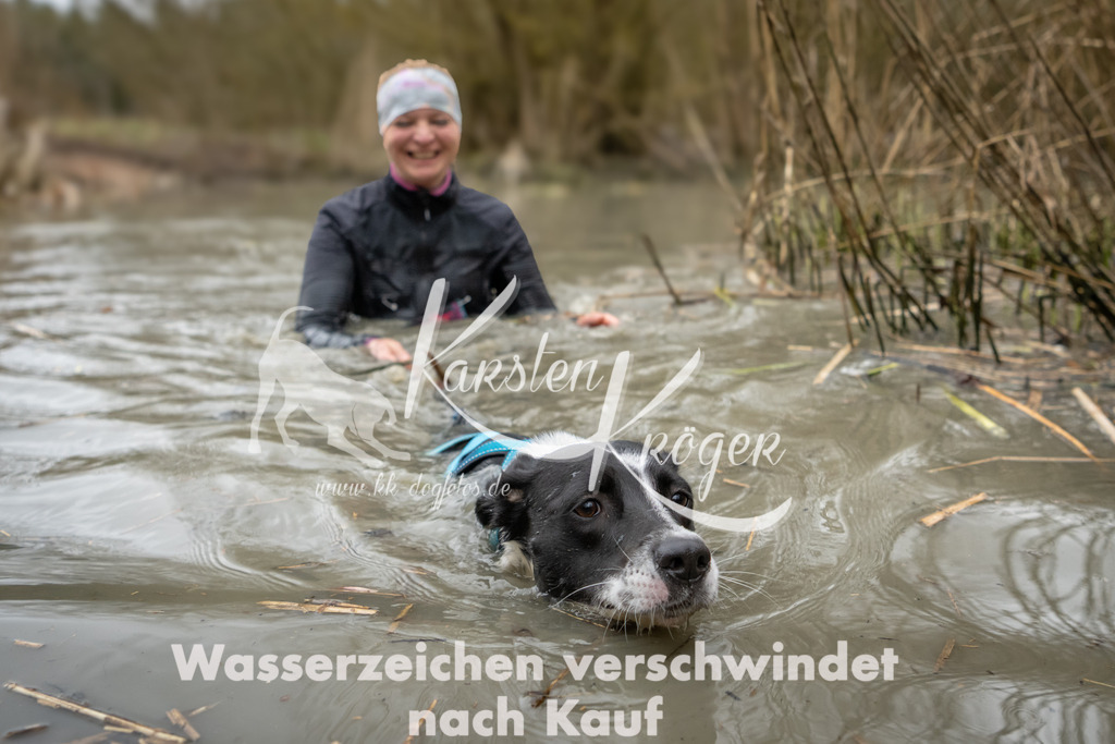 1258_ZZ93620 | kk-dogfotos