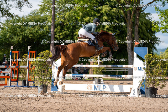 Eppelheim Tag 1-460 | dv-media-shop - Realized with Pictrs.com