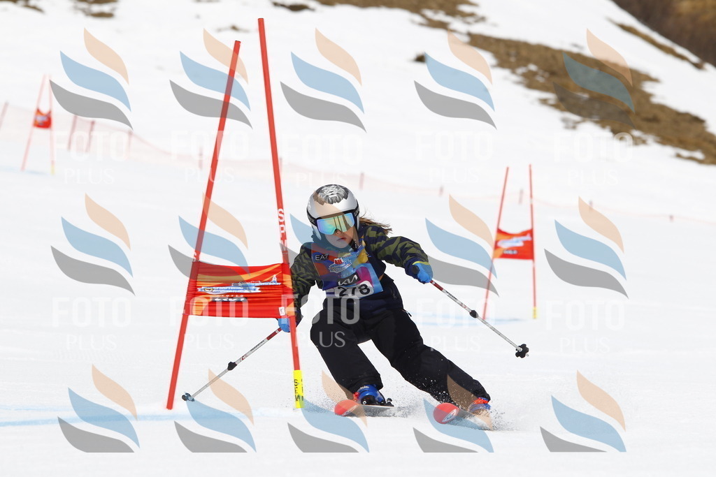 _U3G6974 | holidayphoto