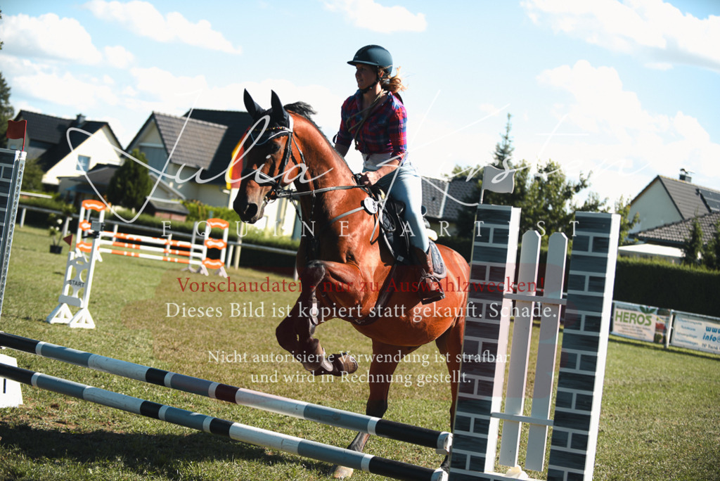 DSC_7726 | Pferde- und Turnierfotografie in Westsachsen. Pferdeportraits, Auftragszeichnungen und intuitive Kunst.