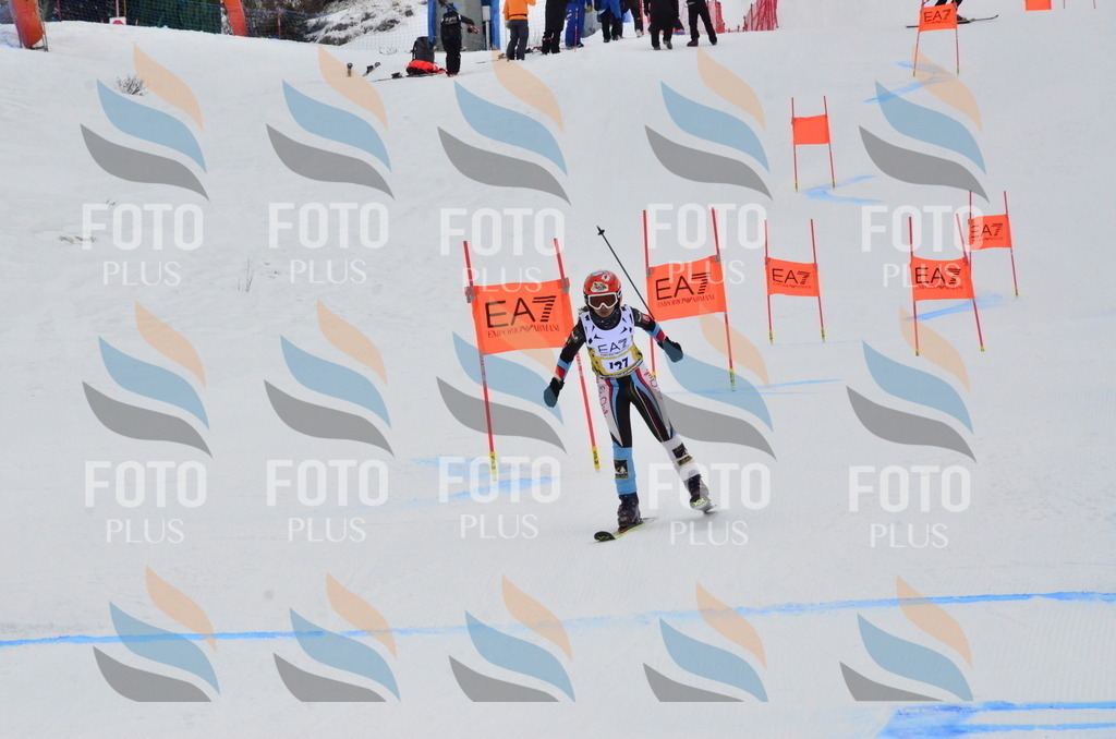 _ELE3750 | holidayphoto