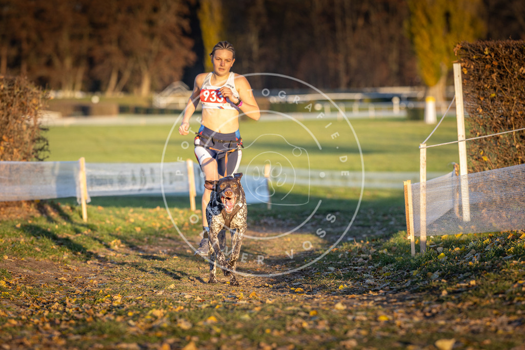 CaniXpix_DV3A5178 | Hundefotografie, Tierfotograf, Pfotenfotografie, Fotoshooting Hund, Hunde Portrait, Hundesport, Hundeportraits, Heideshooting, Hunde, Sportfotograf, Hundefotograf, Turnierhundsport, THS,  - Realisiert mit Pictrs.com