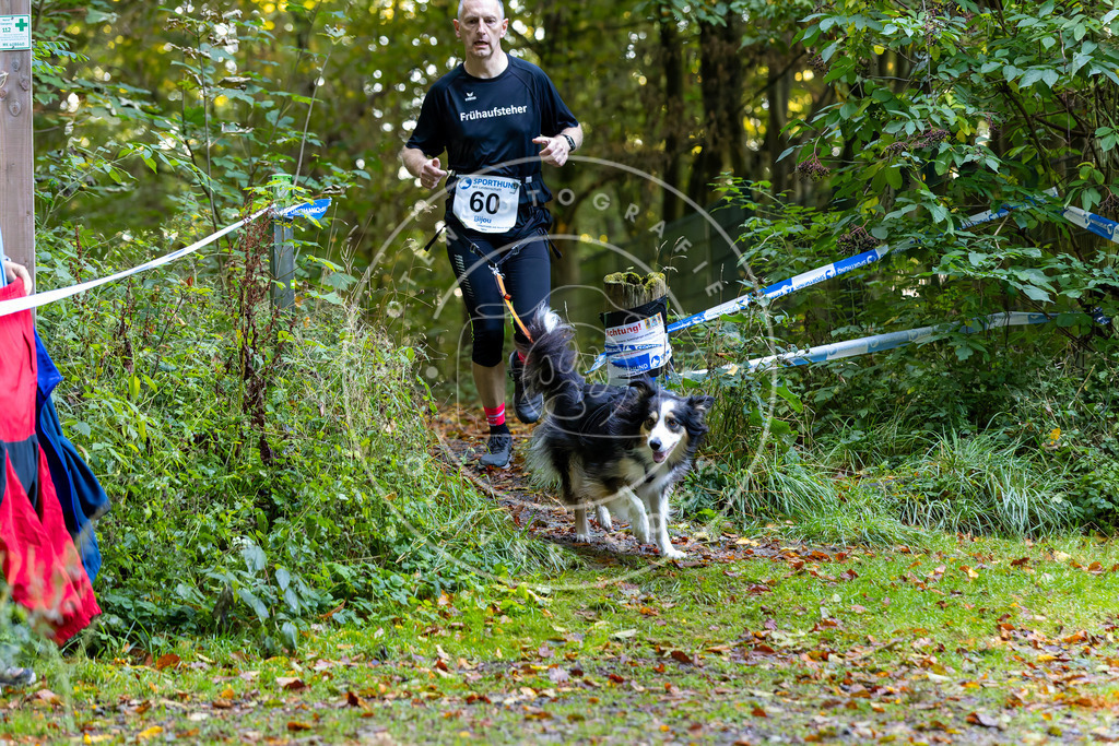 Pfotenfotografie_DV3A7187 | Hundefotografie, Tierfotograf, Pfotenfotografie, Fotoshooting Hund, Hunde Portrait, Hundesport, Hundeportraits, Heideshooting, Hunde, Sportfotograf, Hundefotograf, Turnierhundsport, THS,  - Realisiert mit Pictrs.com