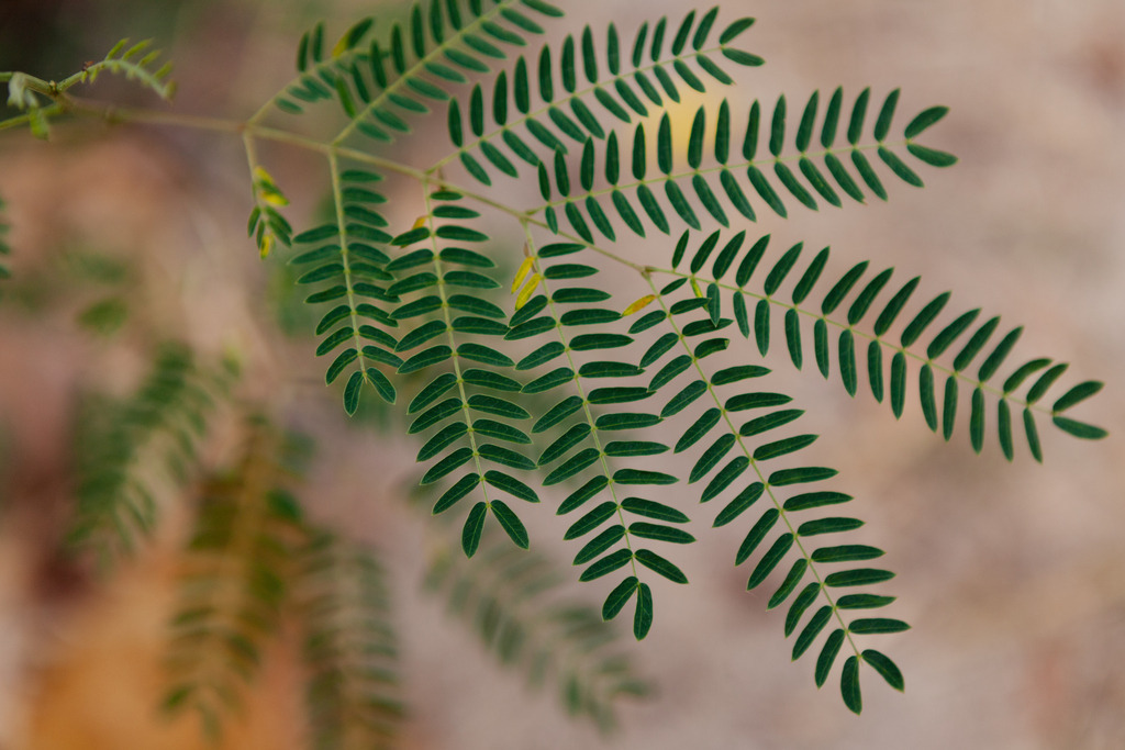 _MG_8597 | AHORN PHOTOGRAPHY - Realisiert mit Pictrs.com