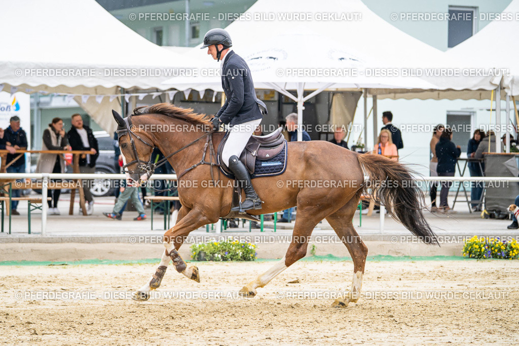 DSC02739 | Pferdegrafie