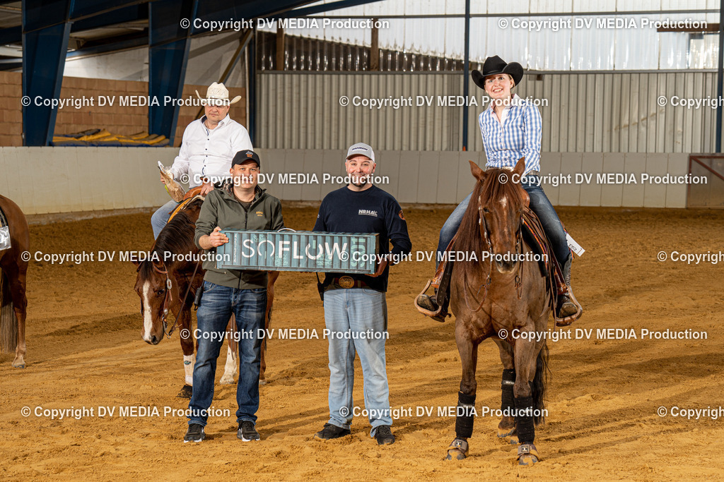 MIT00334 | dv-media-shop - Realisiert mit Pictrs.com