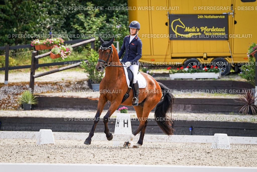 DSC00265 | Pferdegrafie