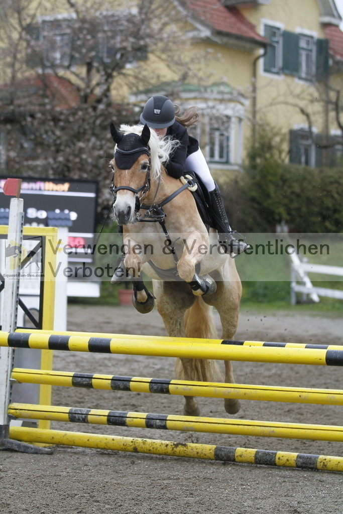 _MG_3524 | equestrian-live-com
