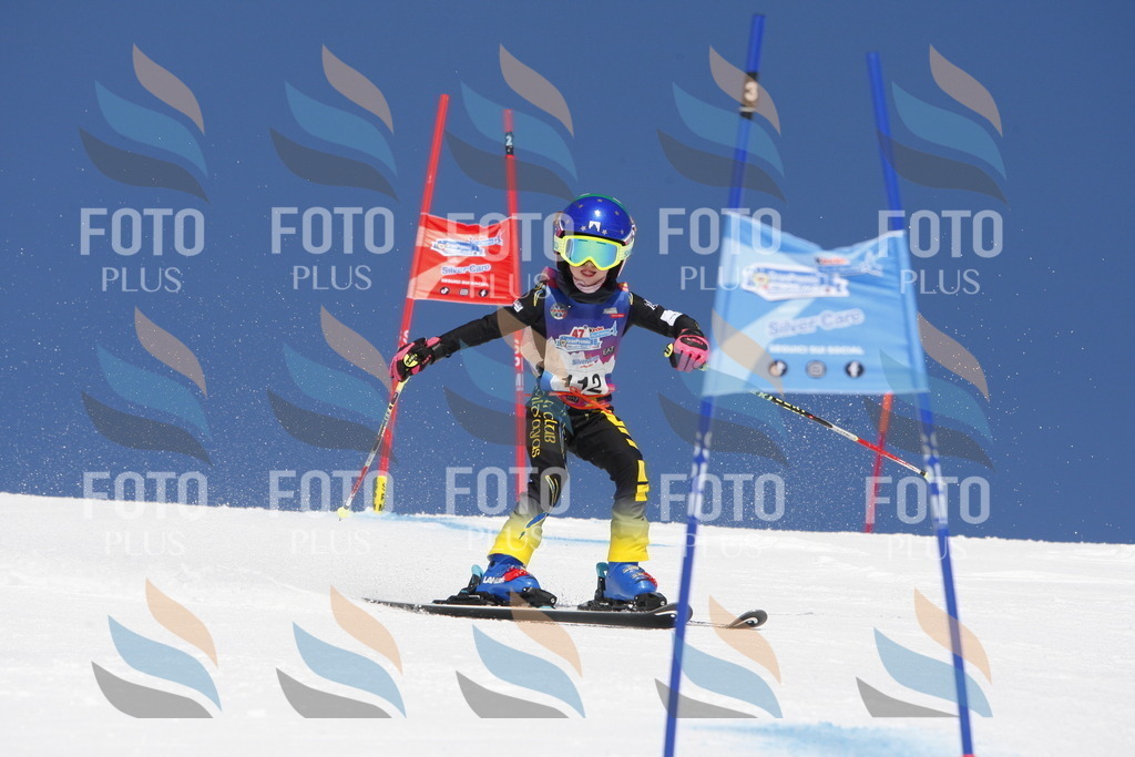 _W1G1675 | holidayphoto