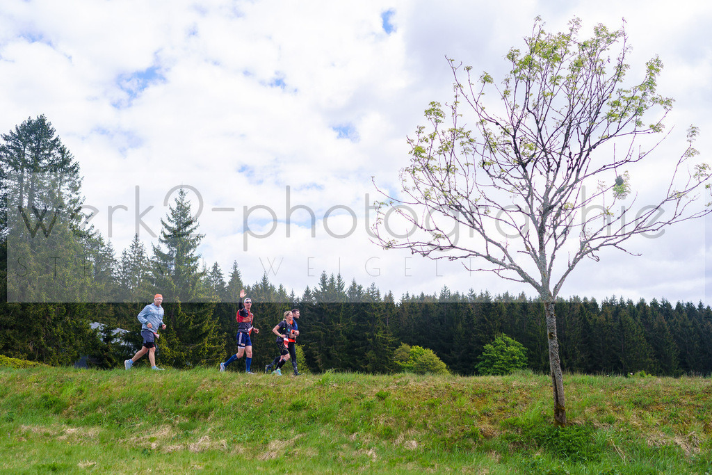 Rennsteiglauf Marathon 2025 | Marathon von Neuhaus/Rwg. nach Schmiedefeld/Rstg. am 17. Mai 2025
