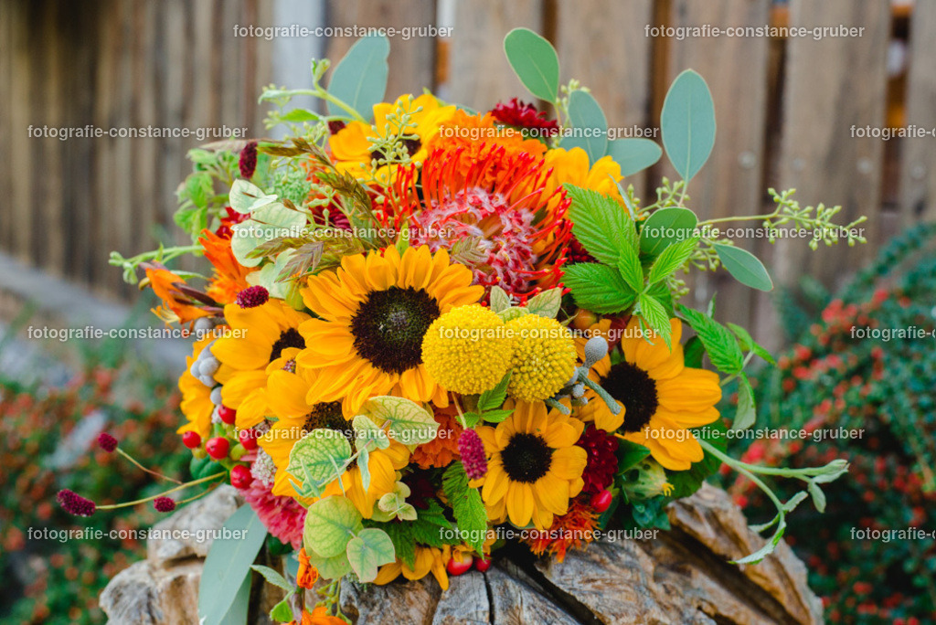 1011 | Fotografie Constance Gruber - Realisiert mit Pictrs.com