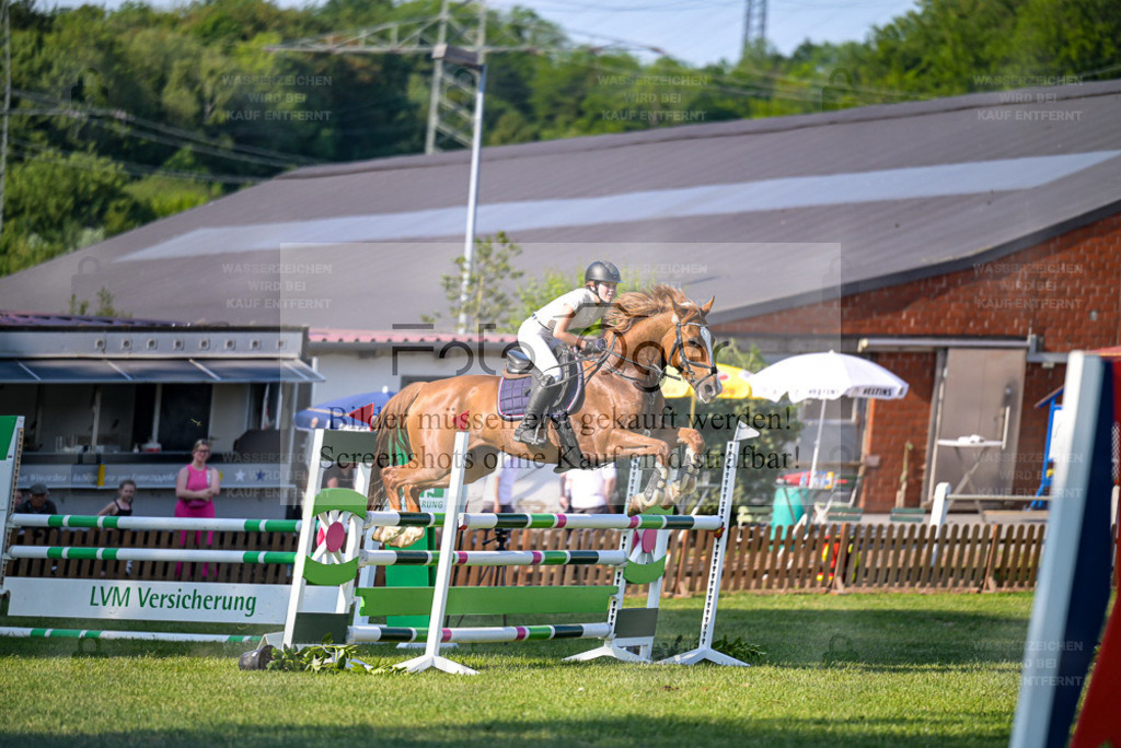Reitturnier Voxtrup | Entdecke hochwertige Reitturnierfotos von Foto Oger. Professionell, emotional und authentisch – jetzt Lieblingsmomente im Shop bestellen. - Realisiert mit Pictrs.com
