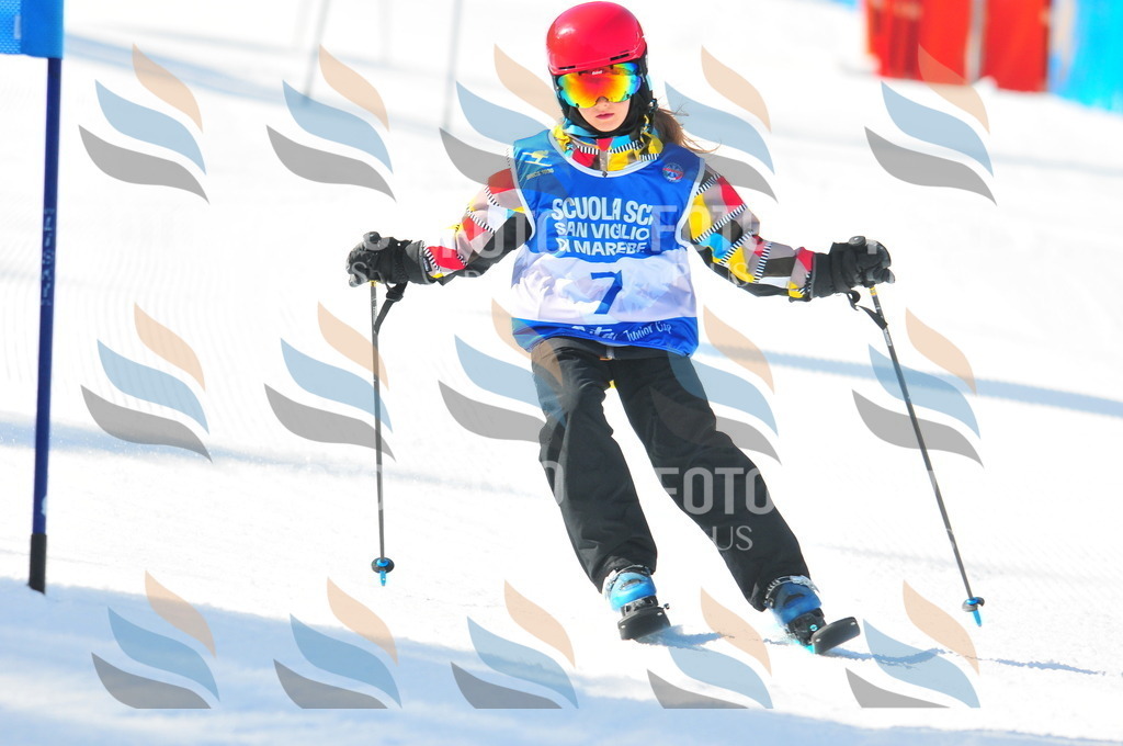 B8992 | holidayphoto