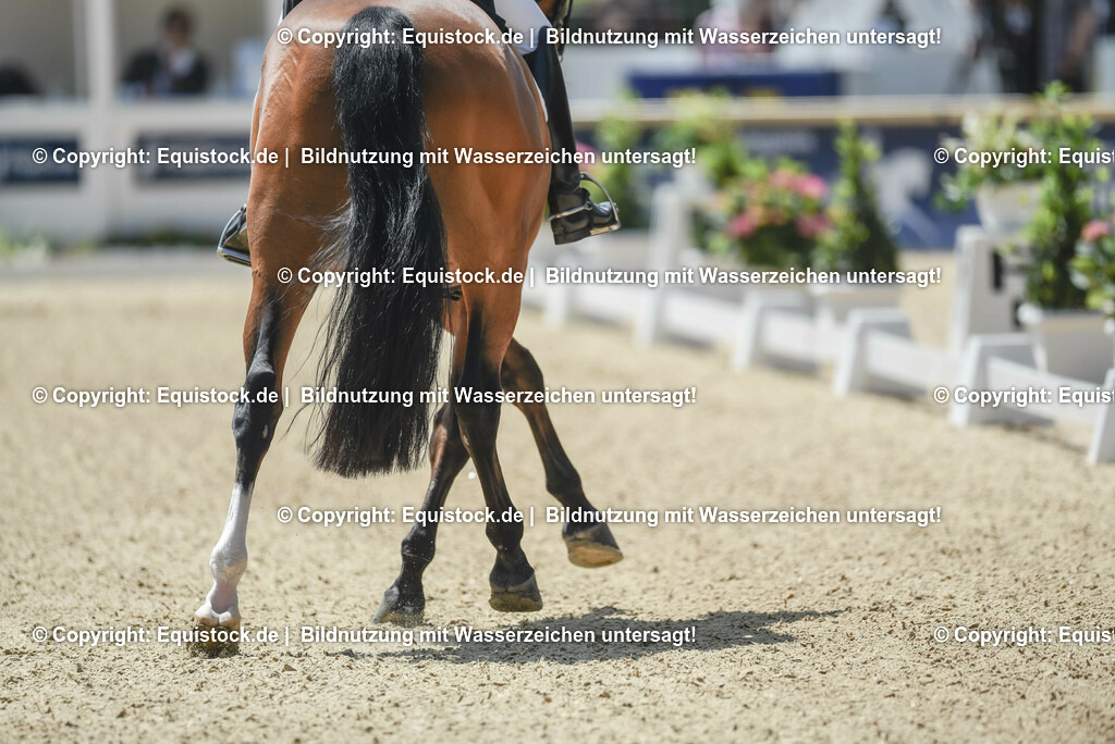 TP5_1340 | equistock