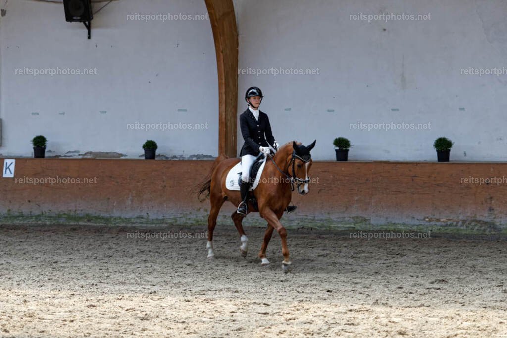 JHE32739 | JoYa Fotografie - Realisiert mit Pictrs.com