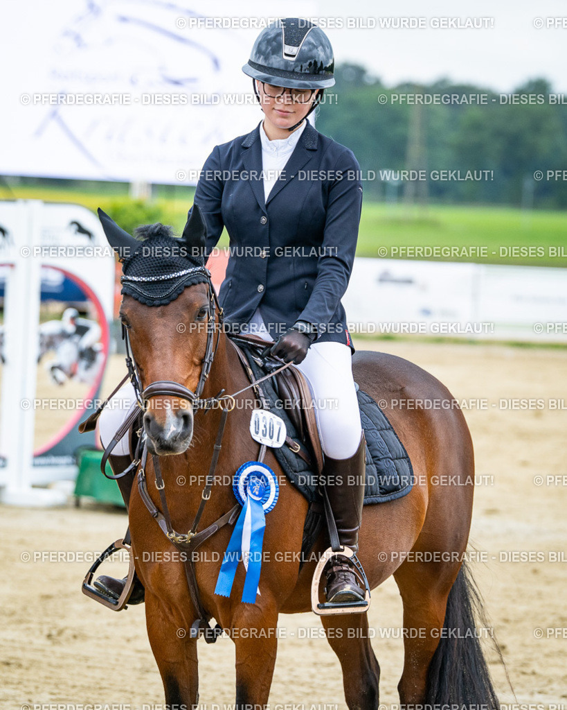 DSC03870 | Pferdegrafie