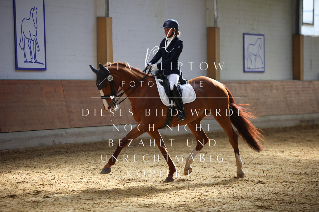 IMGT9740 | pl-fotografie