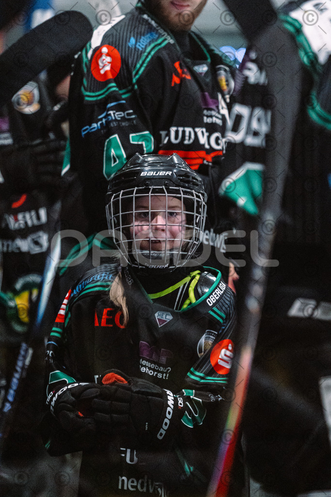 Alligators_vs_Fuessen_01_03_2026_PP-7 | Höchstadt Alligators Fotogalerie: Eishockey-Action aus Franken. Professionelle Spielfotos, Portraits & Stadionbilder zum Download. Jetzt entdecken! - Realisiert mit Pictrs.com