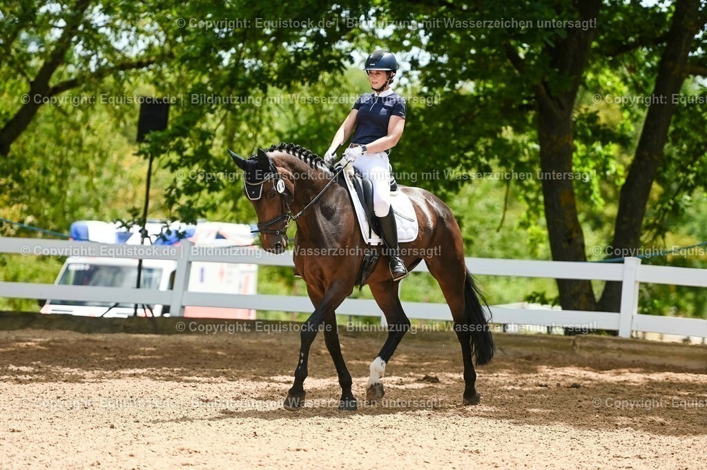 20230715_05_Dressurprüfung Kl.A++_0187 | equistock