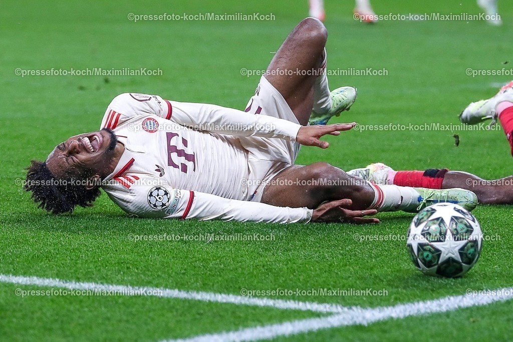 UCL11032502312 | 11.03.2025, Fußball, UEFA Champions League, Bayer 04 Leverkusen - FC Bayern München, Achtelfinale Rückspiel, BayArena, Saison 2024 2025: Kingsley Coman (FC Bayern #11) liegt mit Schmerzen auf dem SpielfeldDFB regulations prohibit any use of photographs as image sequences and or quasi-video.
