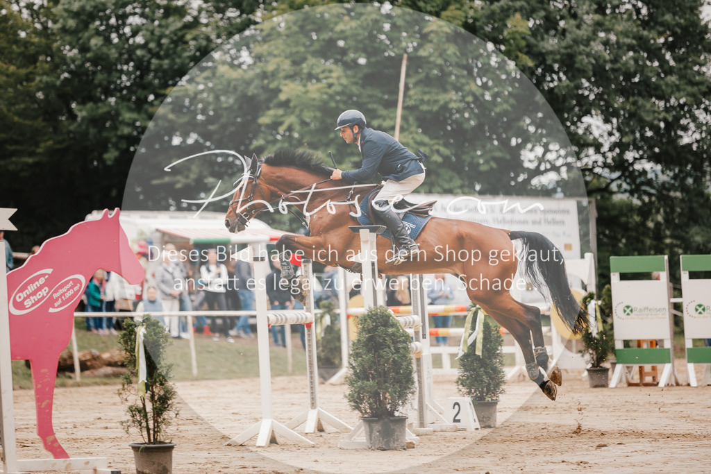 3I6A2053 | Stimmungsvolle Portraits und Reitsportfotografie im Ruhrgebiet und im Münsterland.

Pferdefotografie, Hundefotografie, Tierfotografie, Reportagen, Portraits von Tier und Mensch, Turnierfotografie in Bochum, Recklinghausen, Marl, Haltern am See, Dülmen.. - Realisiert mit Pictrs.com