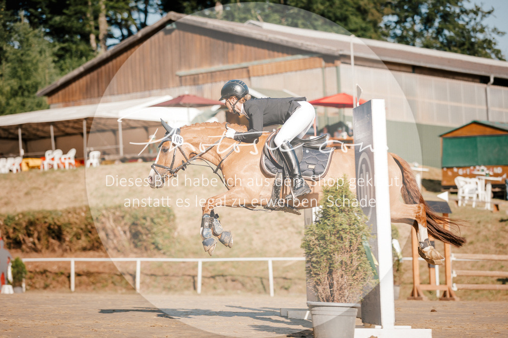 3I6A6218 | Stimmungsvolle Portraits und Reitsportfotografie im Ruhrgebiet und im Münsterland.

Pferdefotografie, Hundefotografie, Tierfotografie, Reportagen, Portraits von Tier und Mensch, Turnierfotografie in Bochum, Recklinghausen, Marl, Haltern am See, Dülmen.. - Realisiert mit Pictrs.com