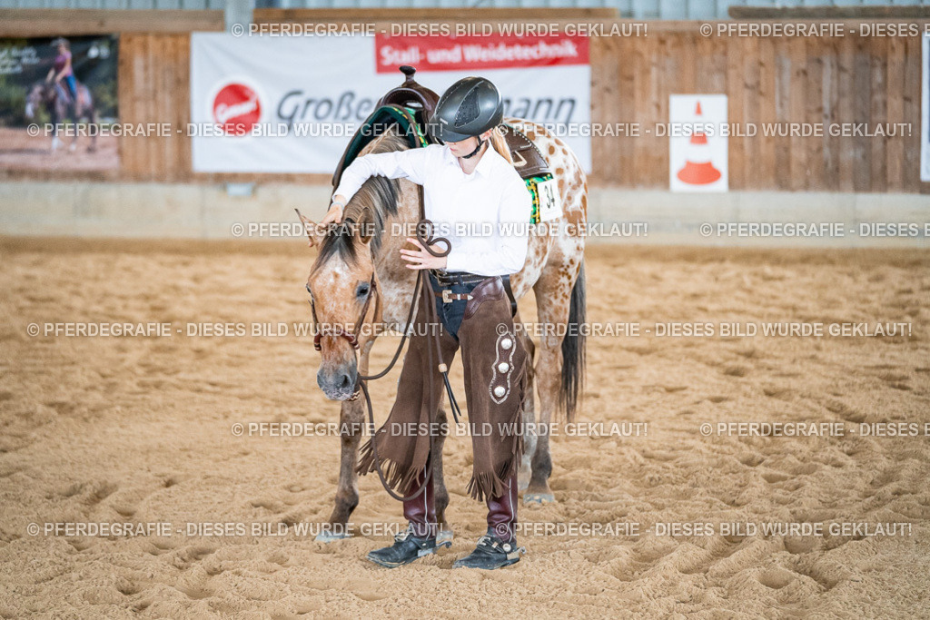 DSC01386 | Pferdegrafie