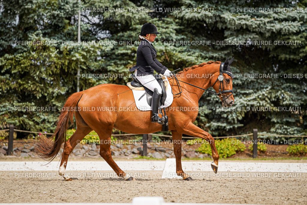 DSC03987 | Pferdegrafie