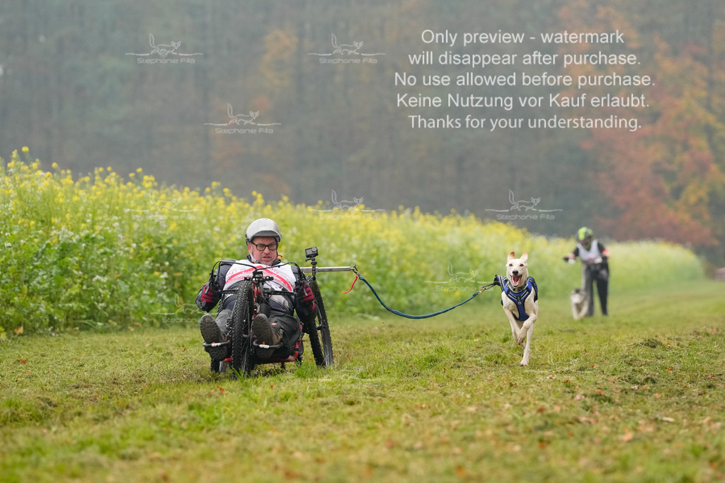 Visbeck_Sa_Scooter_Hc-167 | stephaniefillaphotographie - Realisiert mit Pictrs.com