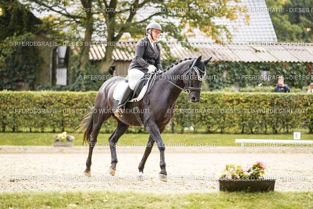 DSC01228 | Pferdegrafie