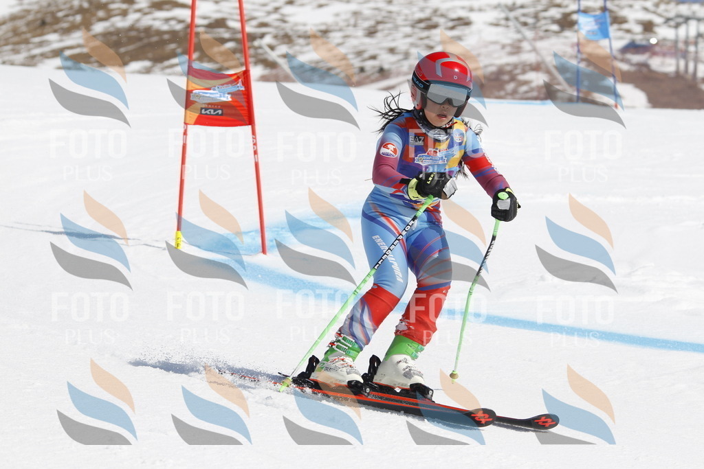 _U3G0632 | holidayphoto