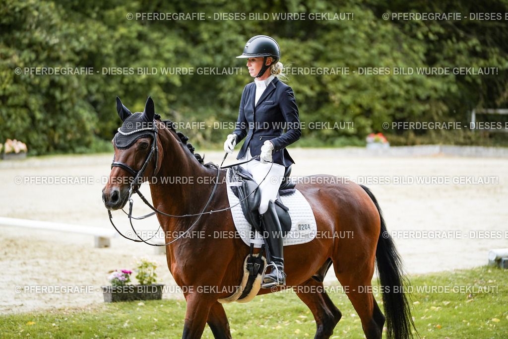 DSC09331 | Pferdegrafie