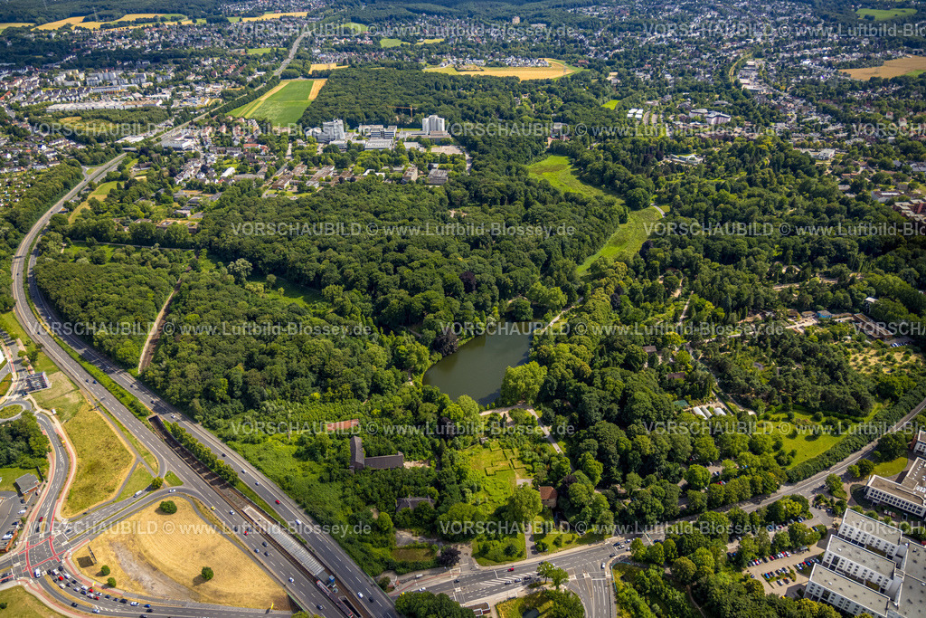 Dortmund230700523 | Luftbild, Rombergpark mit Teich und Wald, Hörde, Dortmund, Ruhrgebiet, Nordrhein-Westfalen, Deutschland