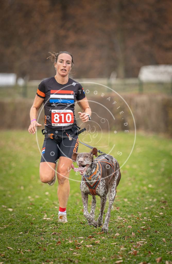 CaniXpix_DV3A6386 | Hundefotografie, Tierfotograf, Pfotenfotografie, Fotoshooting Hund, Hunde Portrait, Hundesport, Hundeportraits, Heideshooting, Hunde, Sportfotograf, Hundefotograf, Turnierhundsport, THS,  - Realisiert mit Pictrs.com
