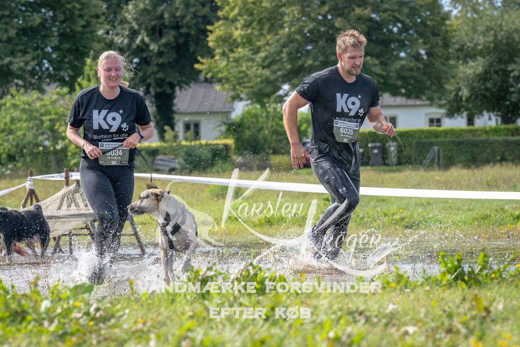 1155_ZZ90528 | kk-dogfotos