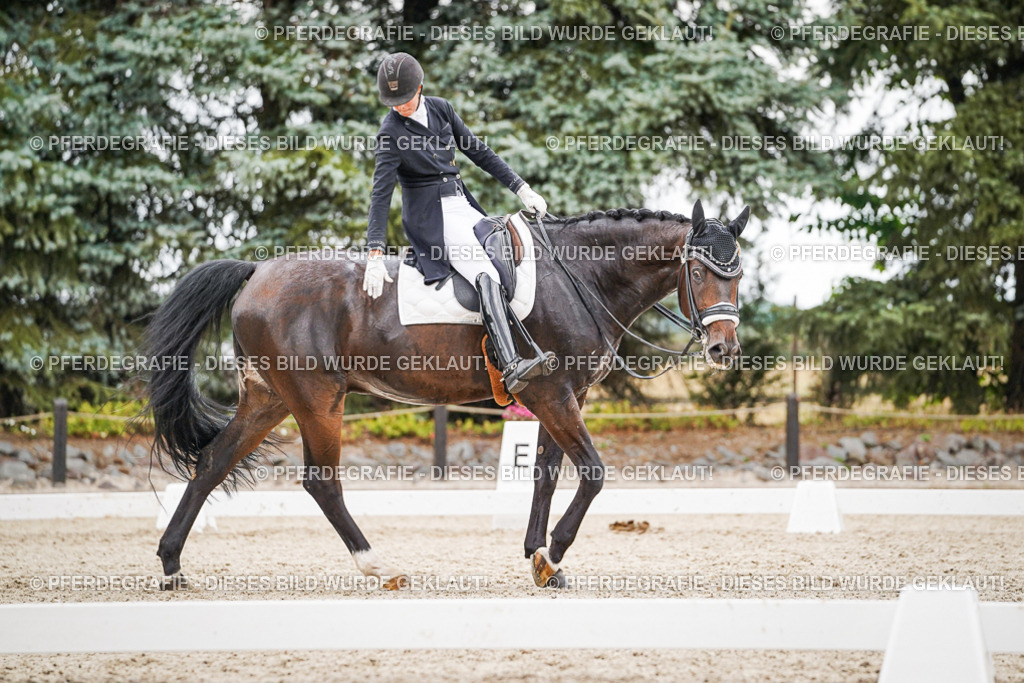 DSC06832 | Pferdegrafie